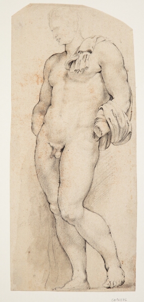 Willem Panneels, Forsiden af den antikke skulptur ’Belvedere Antinous’ set halvt vendt mod venstre