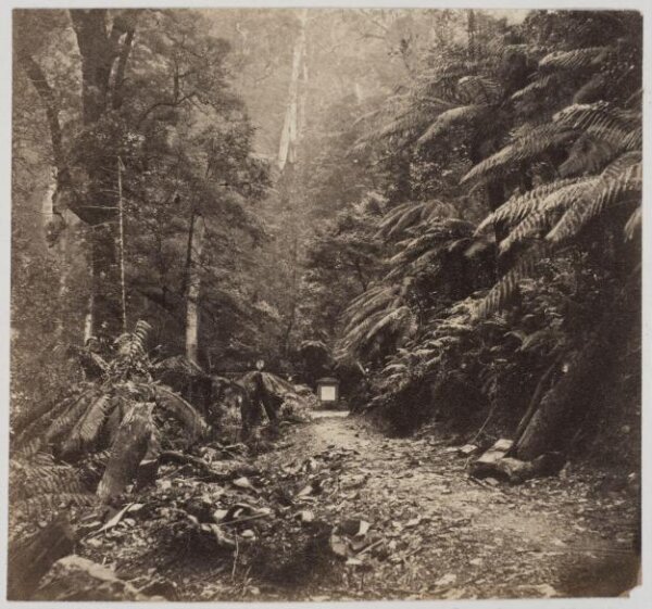 unknown, Photograph