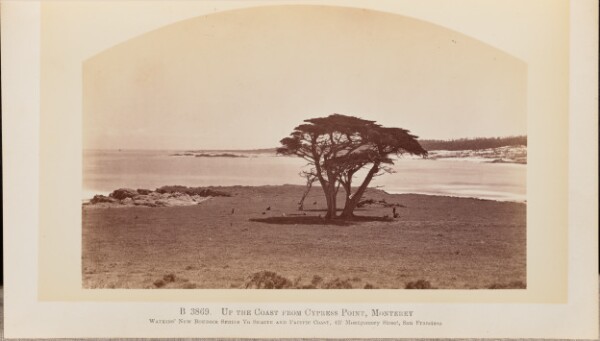Carleton Watkins, Up the Coast from Cypress Point, Monterey