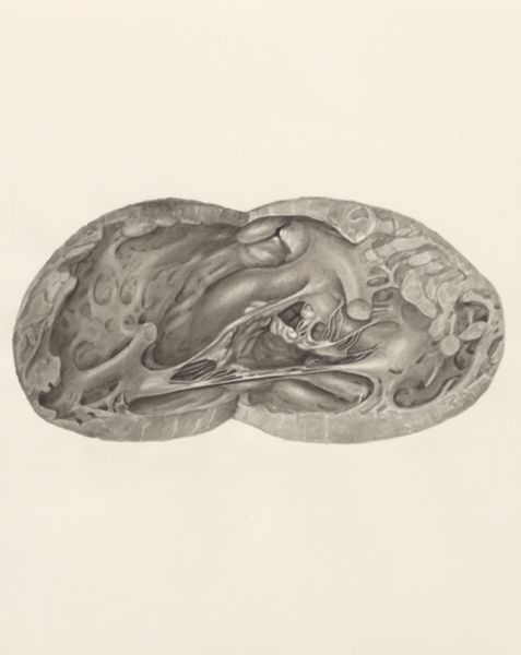 H.G Wetselaar, Heart