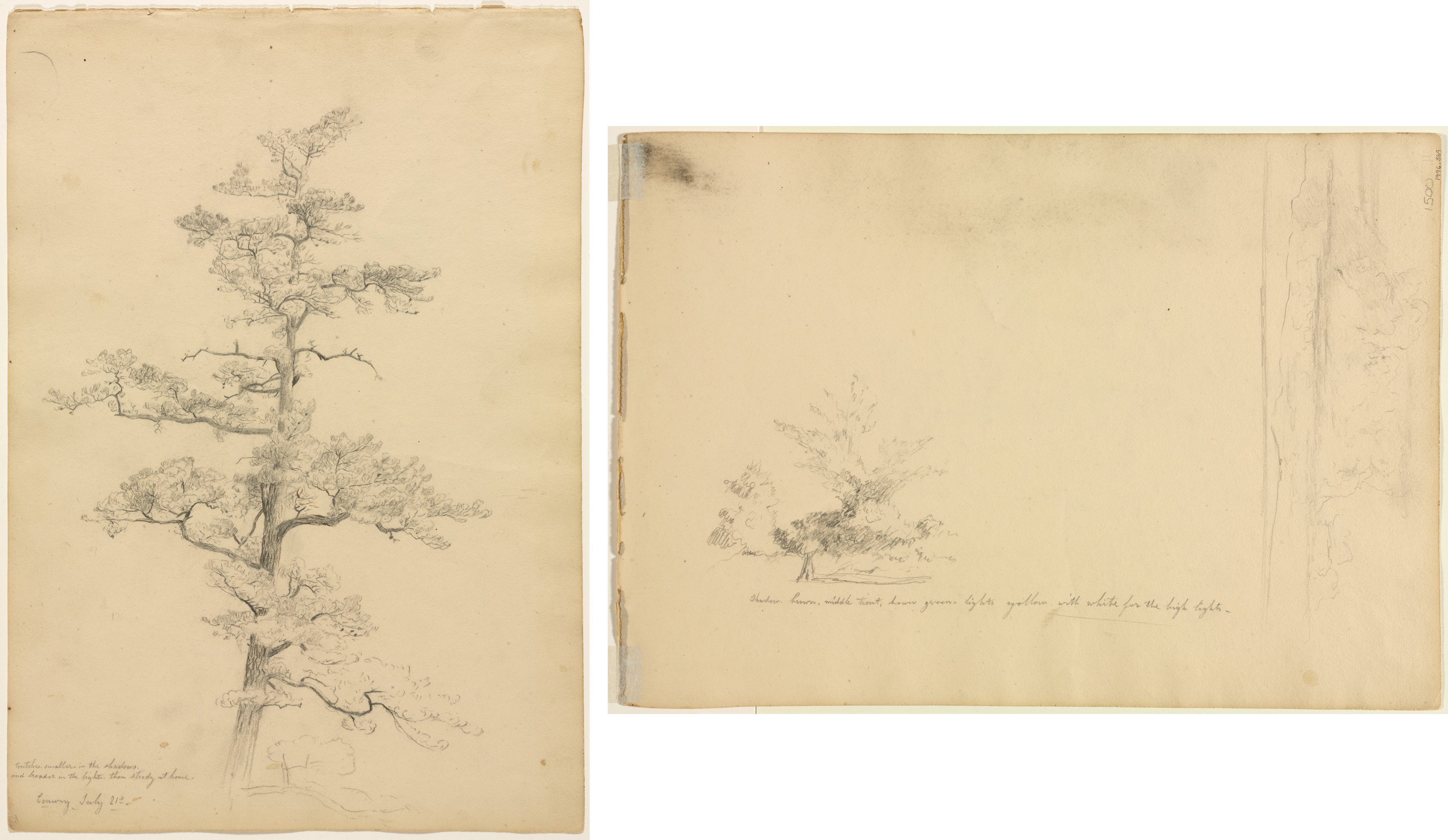 David Johnson, Pine Tree, Conway, New Hampshire (recto); Landscape and Tree Studies (verso)