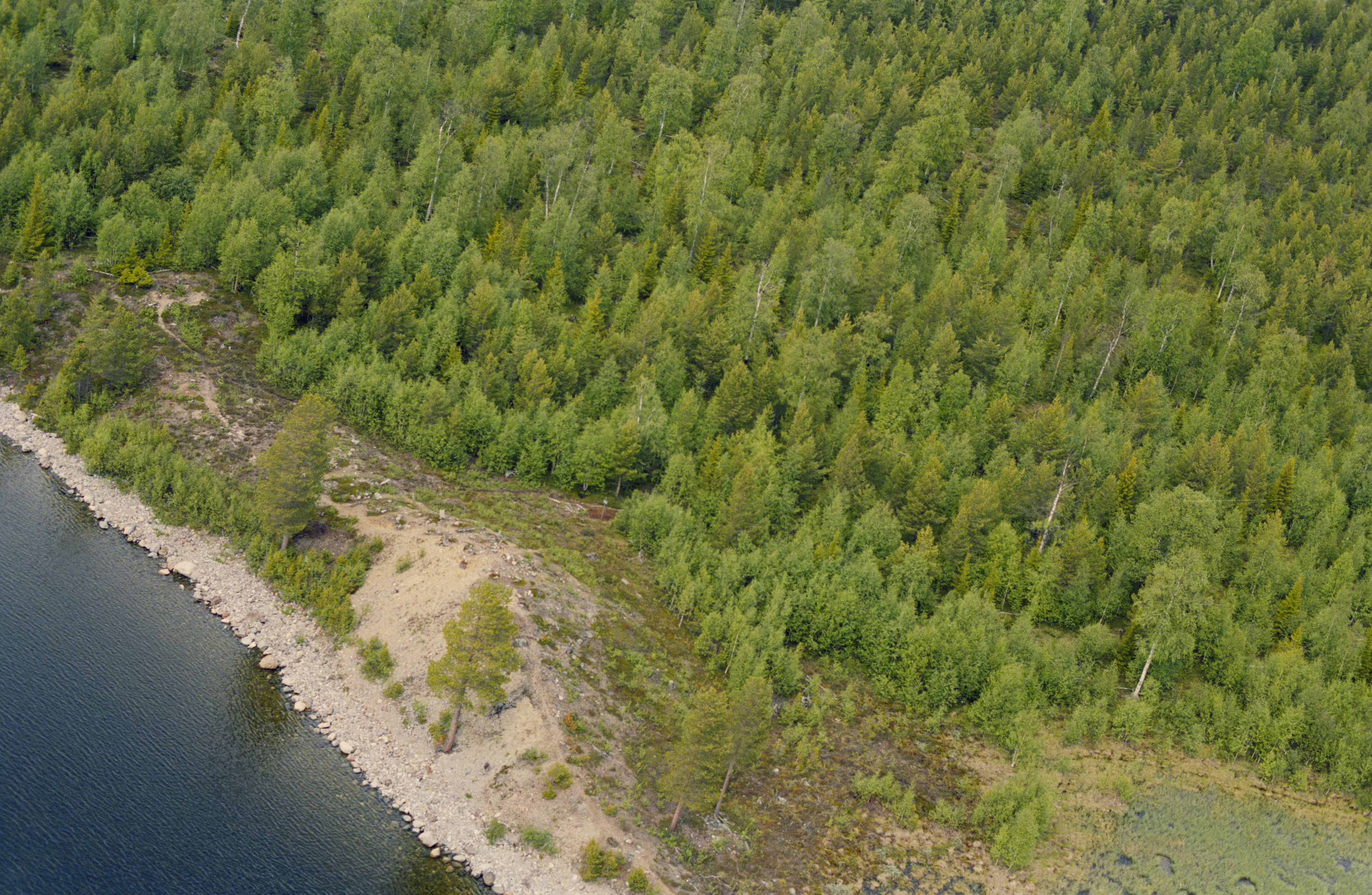 Jan Norrman, Storsjö 9:1