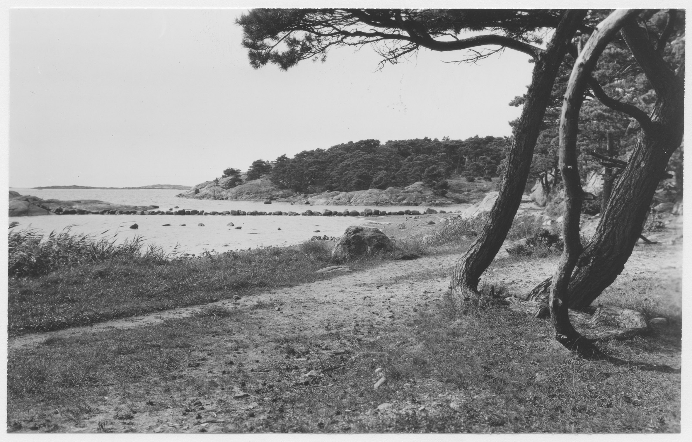 Mårten Sjöbeck, Särö
