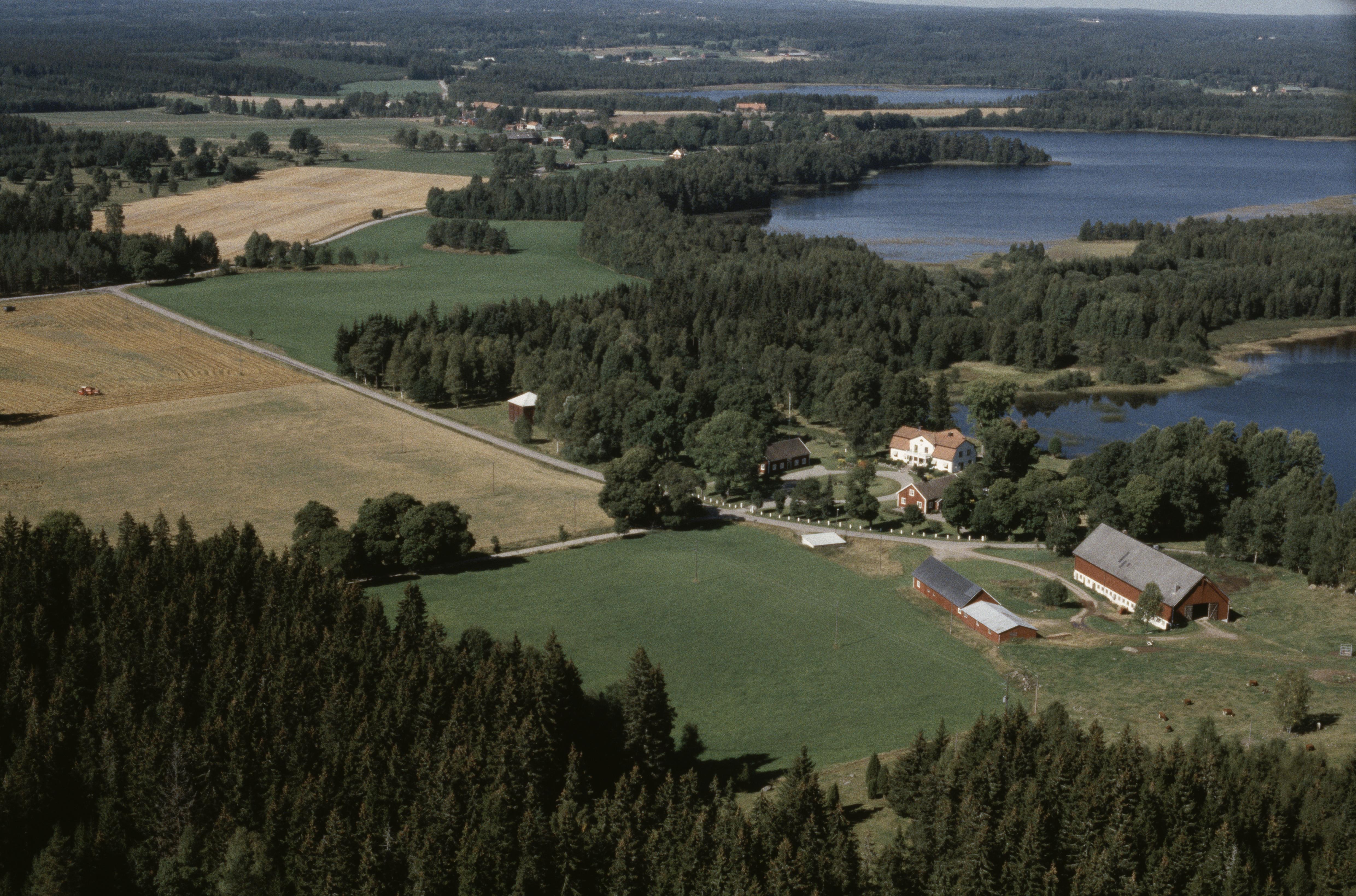 Jan Norrman, Prinsnäs