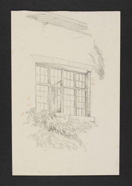Potter, Beatrix, drawing