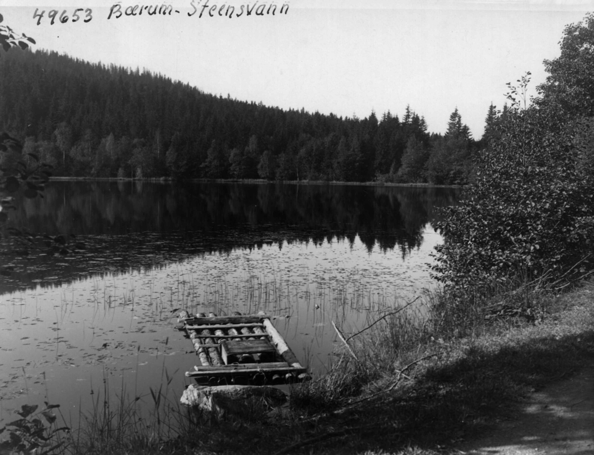 Anders Beer Wilse, Steenstjernet