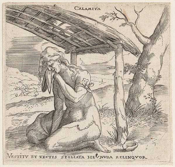 Enea Vico, Calamity