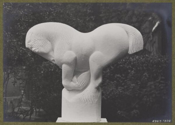 unknown, Photograph