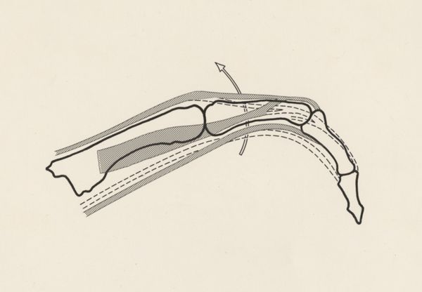 Harry de Bles, Schematic representation of the finger