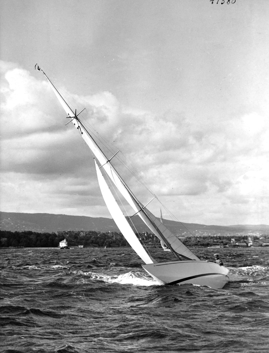 Anders Beer Wilse, Seilsport