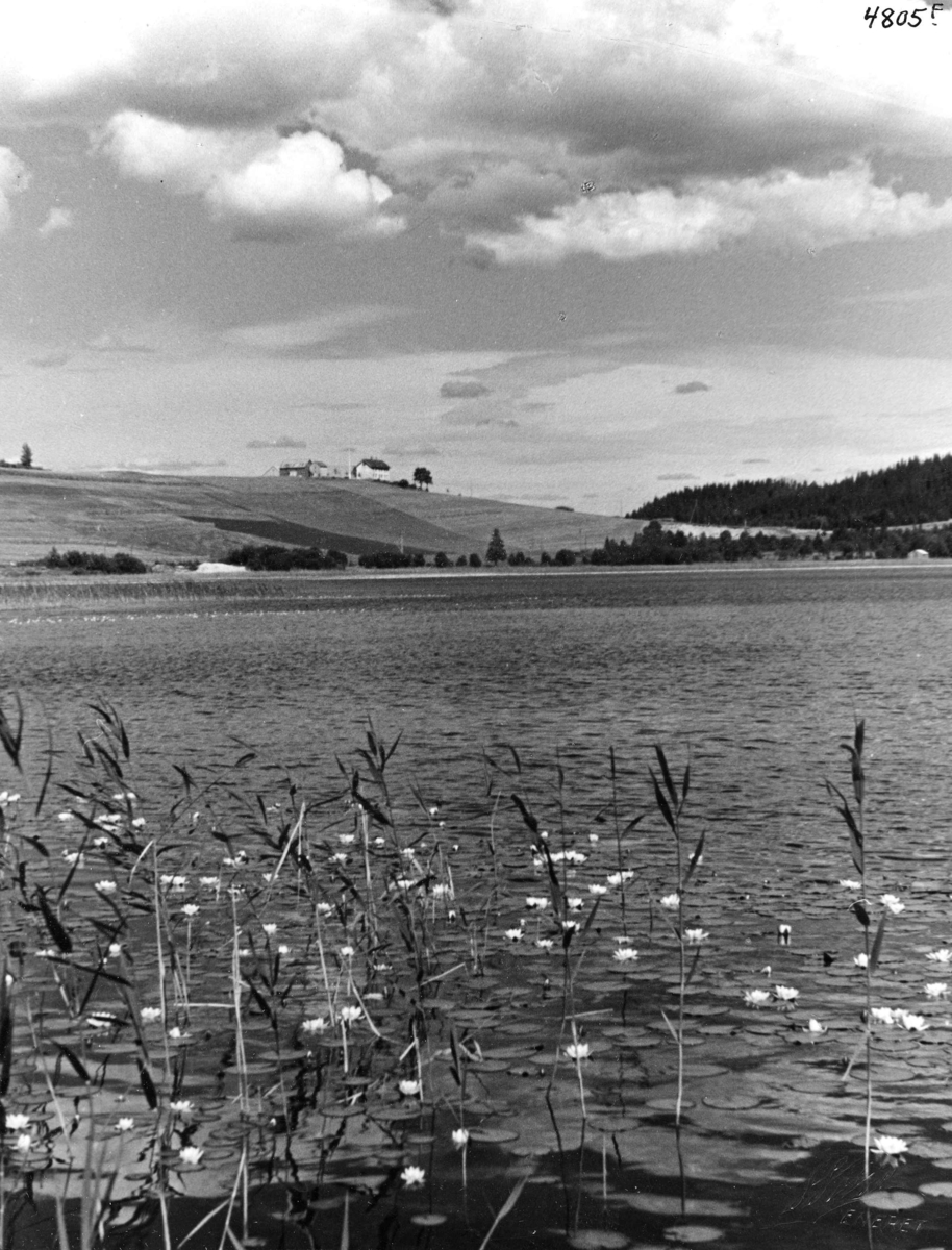 Anders Beer Wilse, Topografi