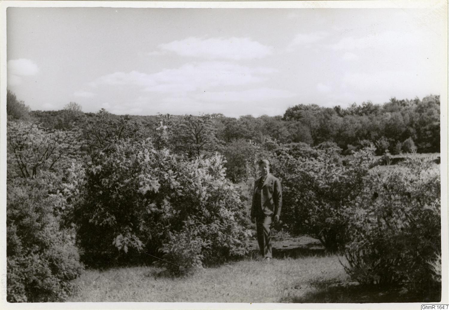 Otto Thulin, fotografi, bilder
