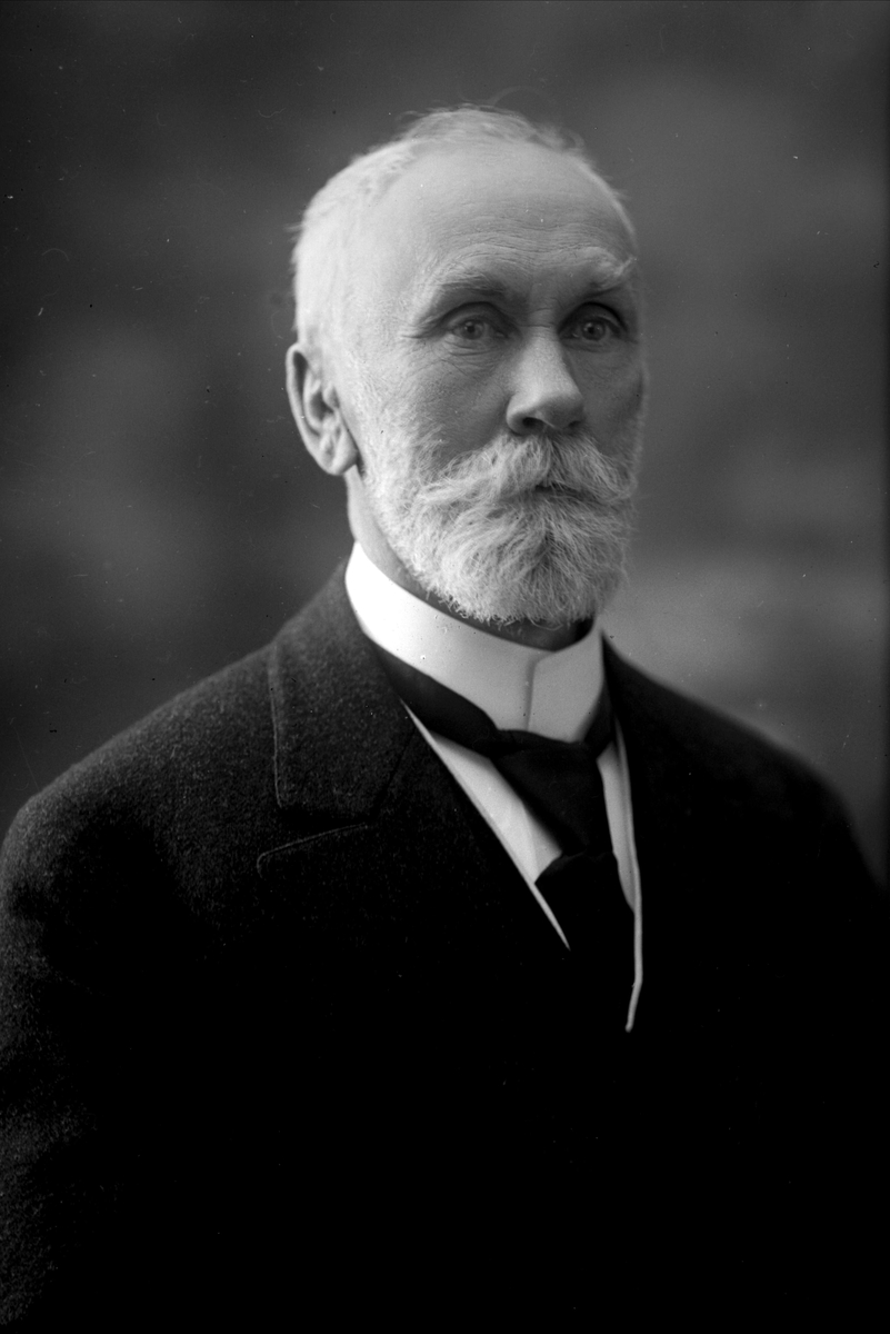 Gustav Borgen, NFB.05836