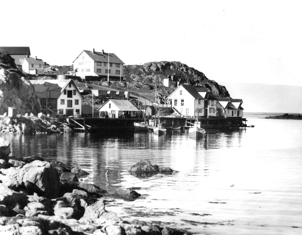 Anders Beer Wilse, Topografi