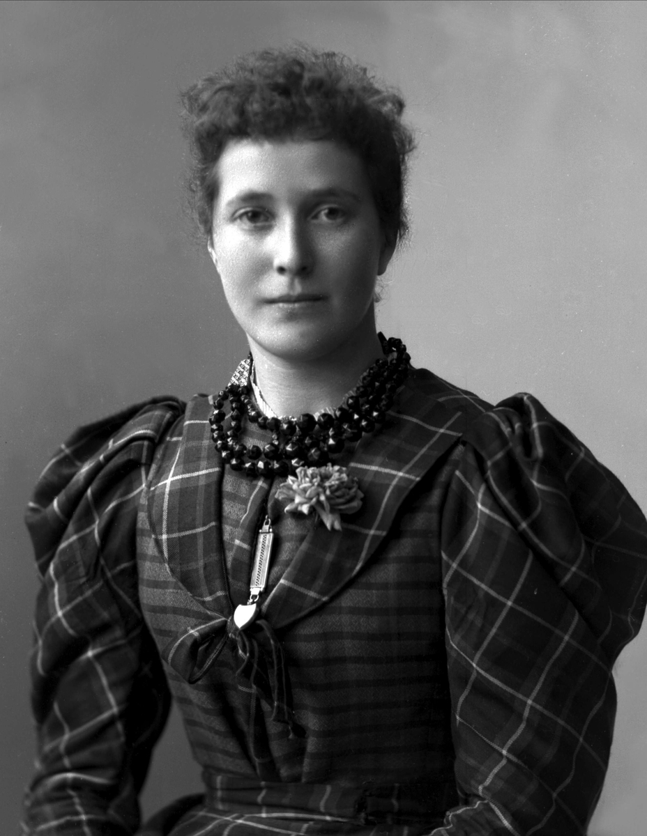 Gustav Borgen, NFB.07354
