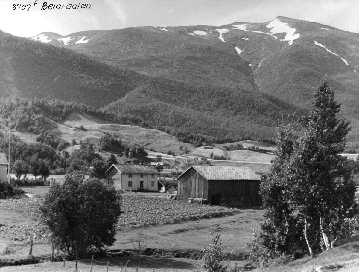 Anders Beer Wilse, Topografi