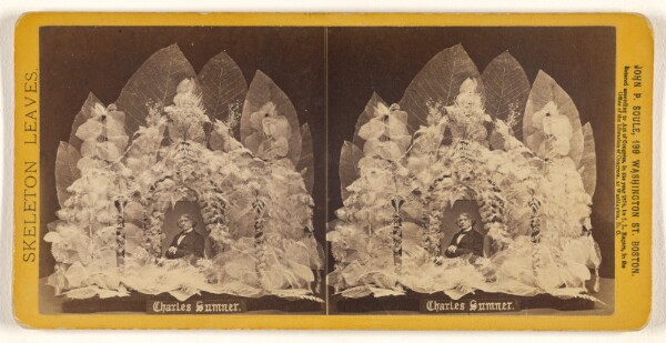 John P. Soule, Charles Sumner.