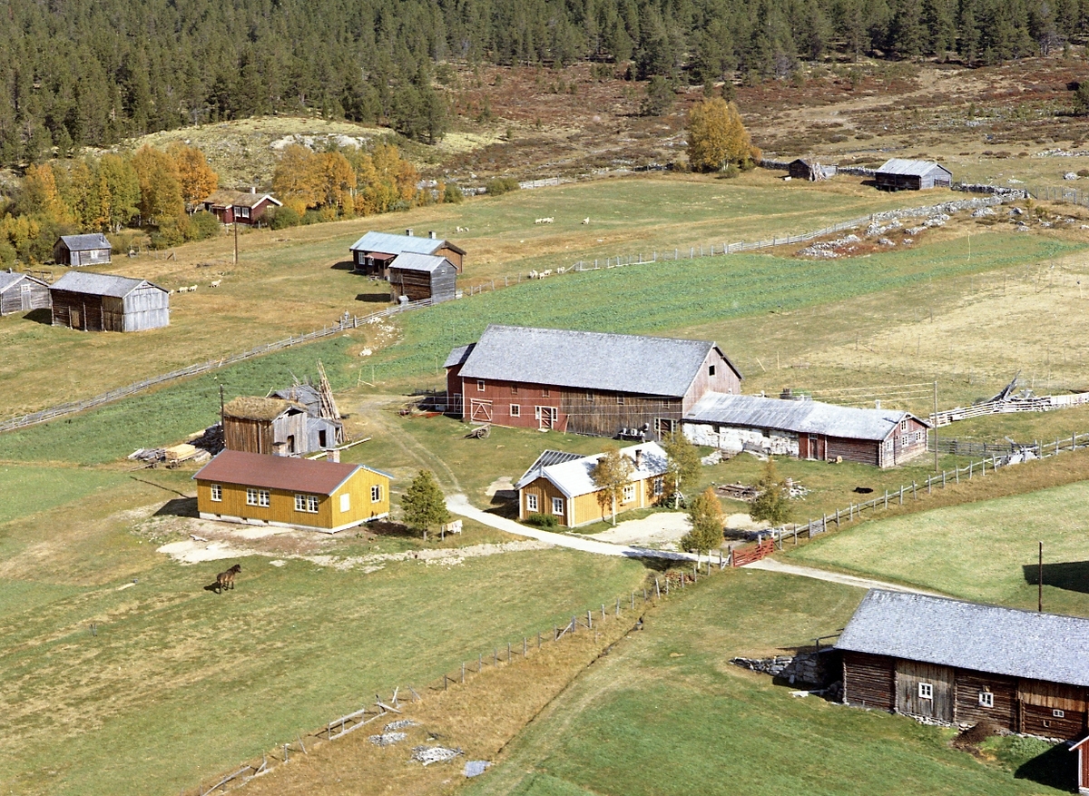 Widerøes Flyveselskap A/S, Flyfoto
