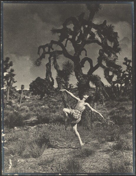 Louis Fleckenstein, Inspiration of the Dance