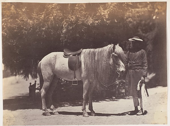 Unknown, [Lord Canning's Hill Pony]