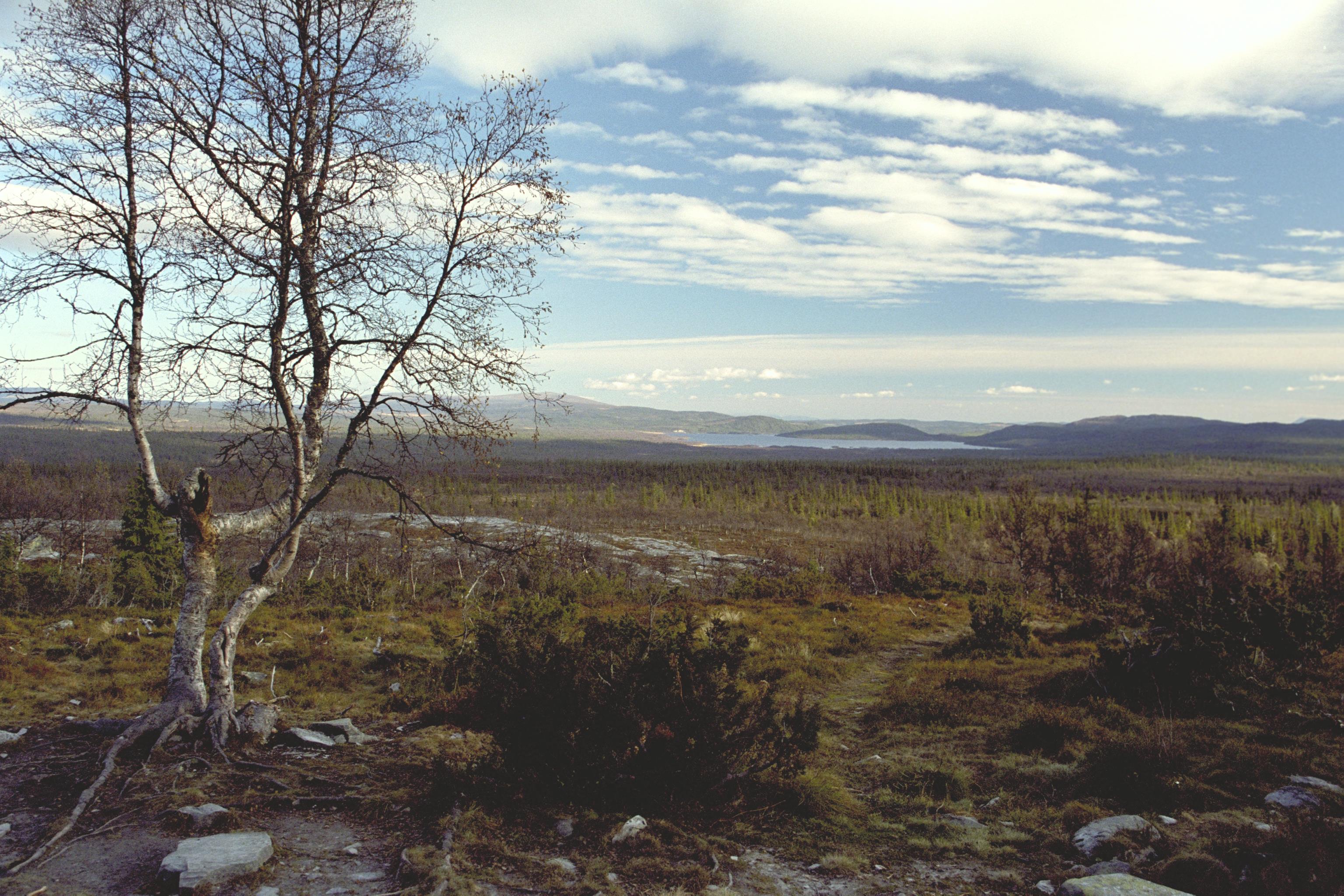 Bengt A Lundberg, Flatruet-Ruvallen