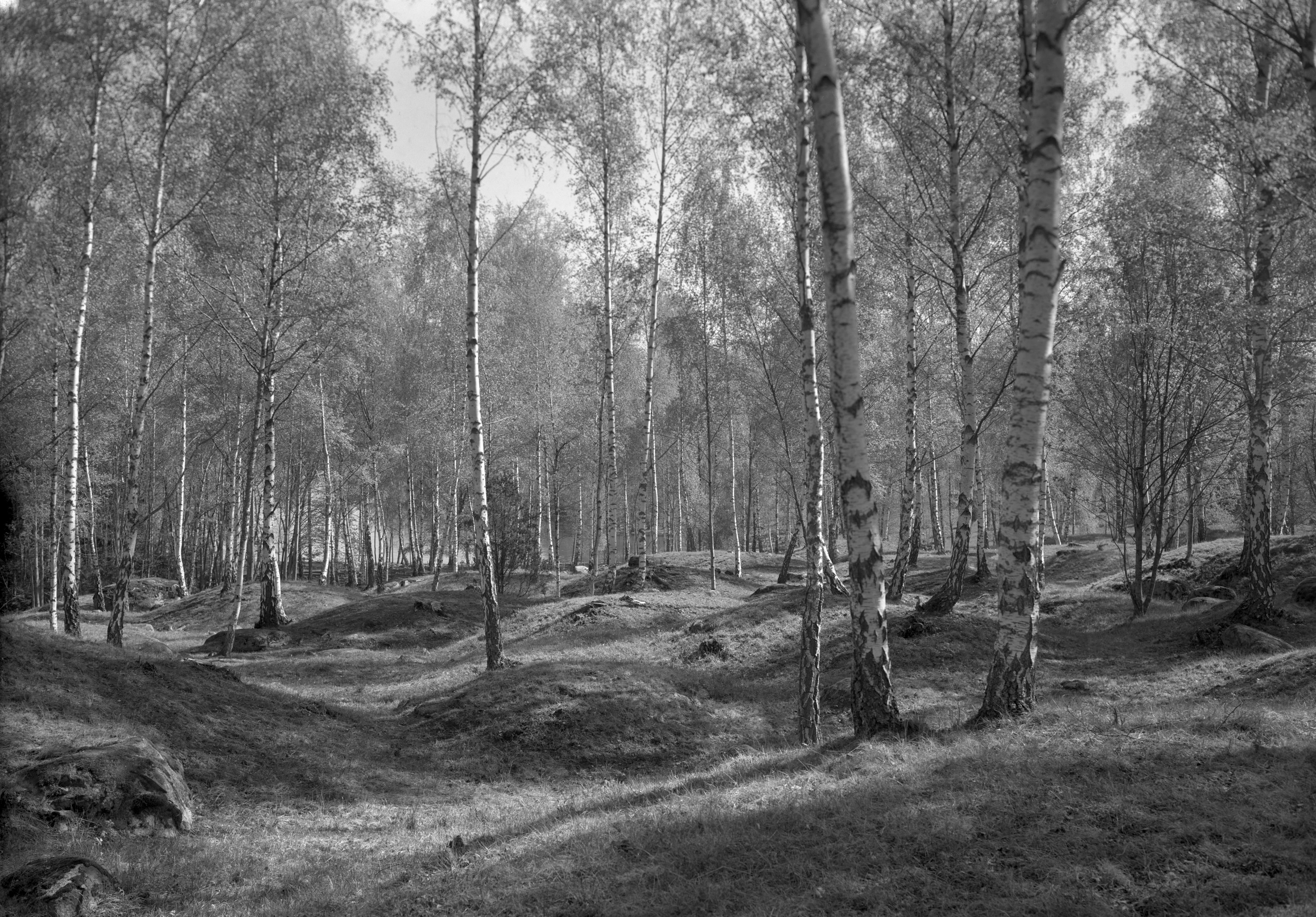 Nils Lagergren, Björkö-Birka