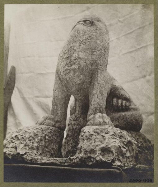 unknown, Photograph
