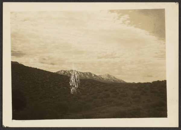 Louis Fleckenstein, [Landscape]