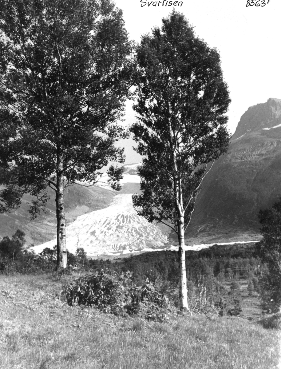 Anders Beer Wilse, Topografi