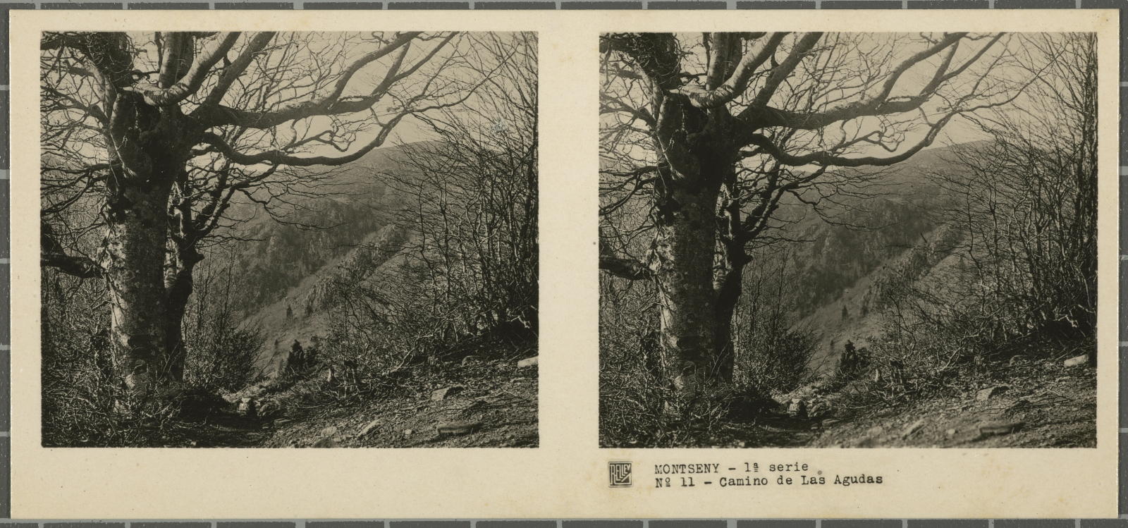 Desconegut, Montseny (Barcelona-Gerona)