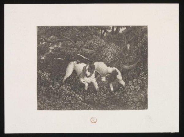 Unknown, Print