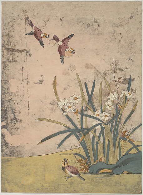 Suzuki Harunobu, Birds and Narcissus