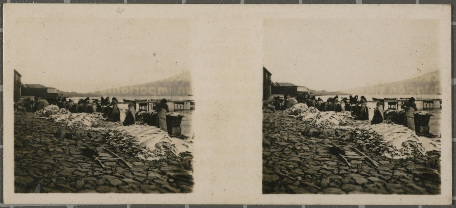 Desconegut, N.º 90. Islas Feroe - Trangisvaag - Lavado del bacalao.
