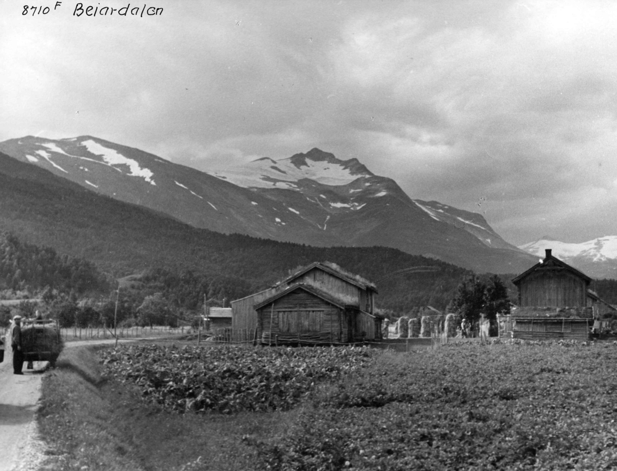 Anders Beer Wilse, Topografi