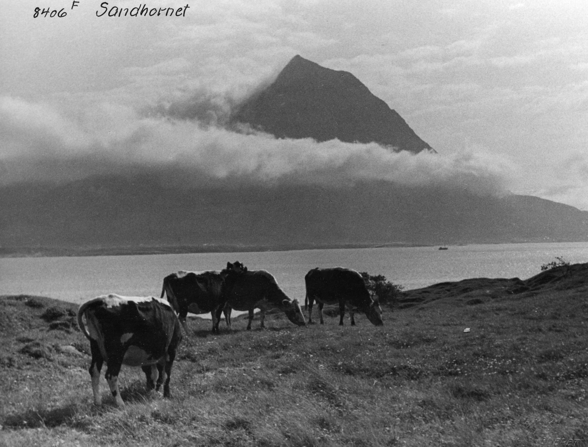 Anders Beer Wilse, Topografi
