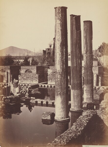 Giorgio Sommer, [Columns]