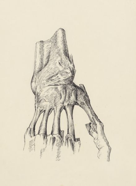 J Tinkelenberg, Musculoskeletal system of the hand and wrist