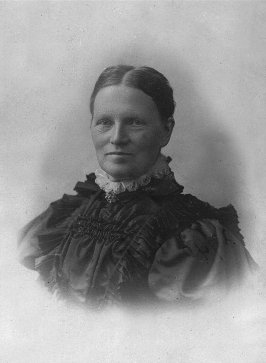 Gustav Borgen, Avfotografering.