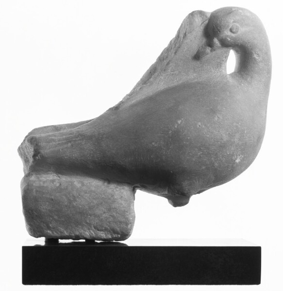 Unknown, Fragment of a Sculpture: Dove