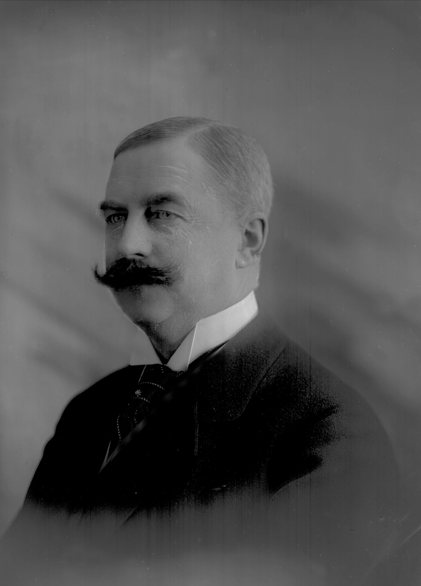 Gustav Borgen, Portrett, Ivar Aavatsmark.