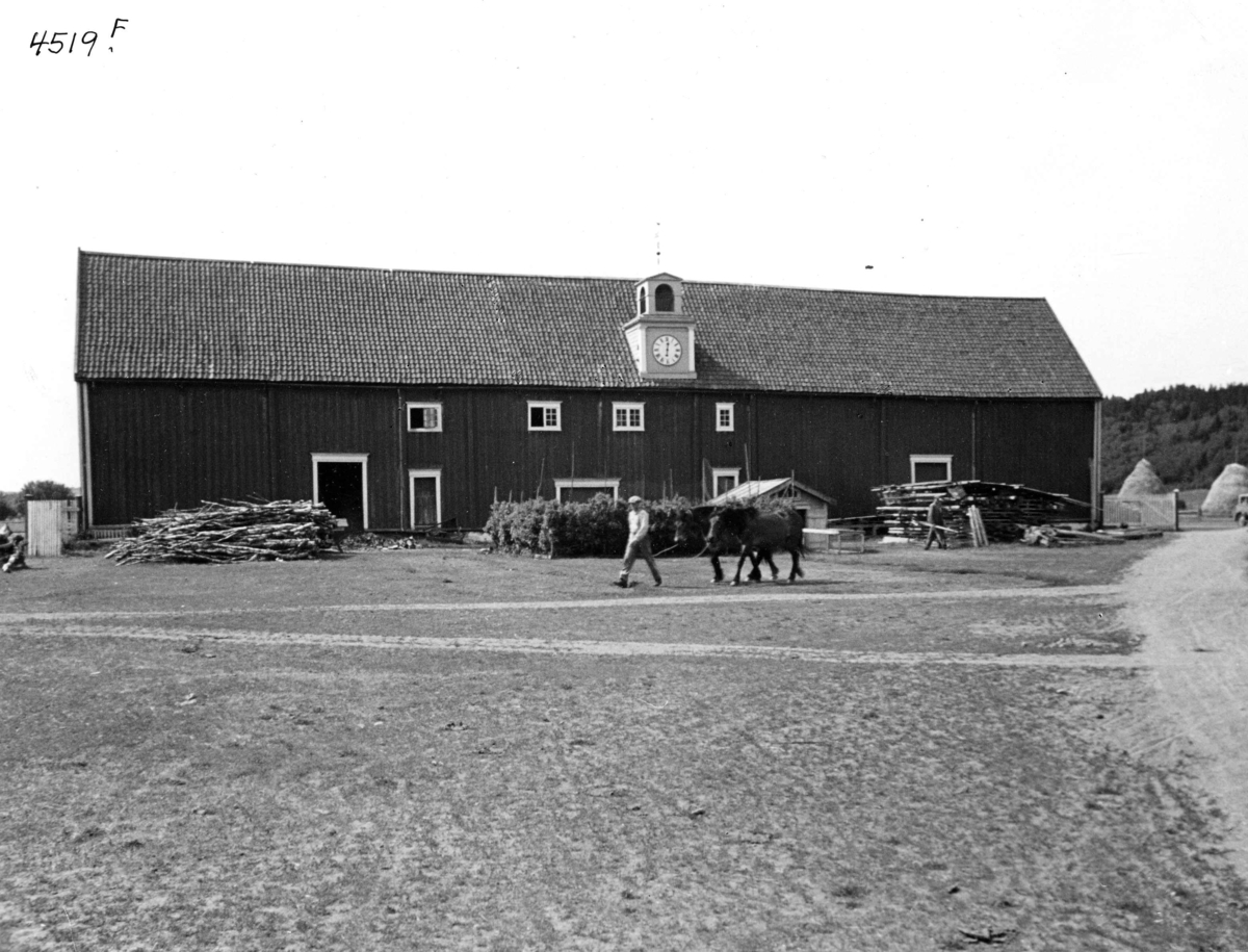 Anders Beer Wilse, Topografi