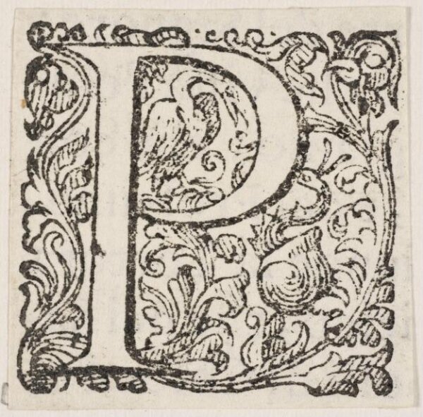 Unknown, Print