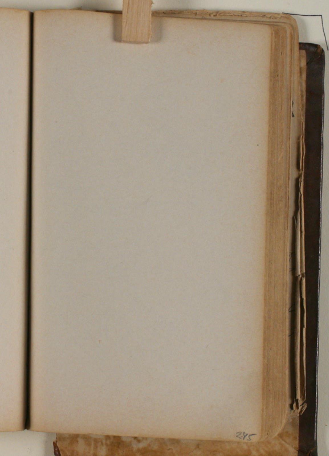 Niels Larsen Stevns, Blank