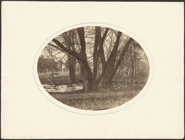 George Kendall Warren, [Trees and pond]