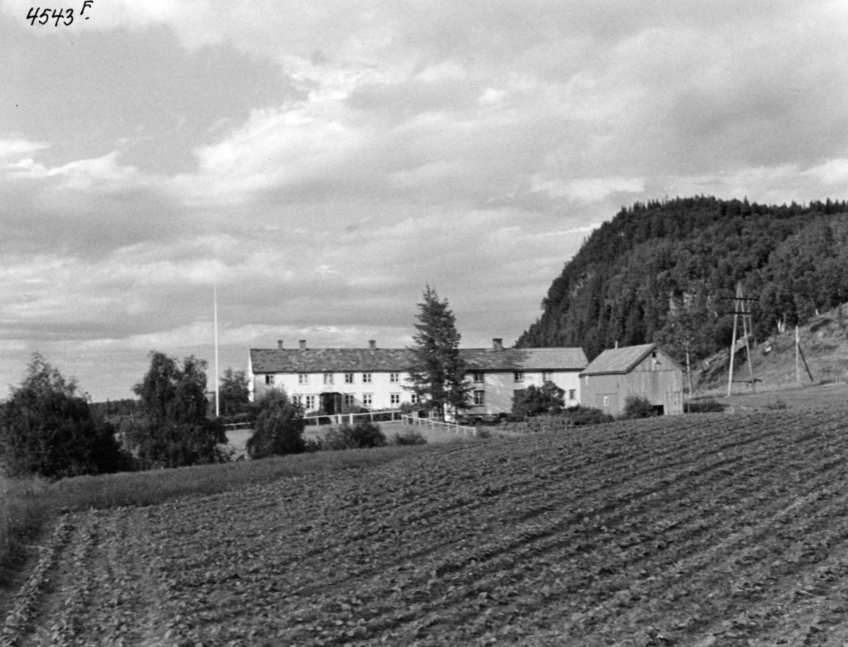 Anders Beer Wilse, Topografi