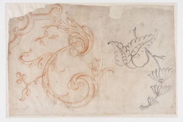 unknown, Drawing