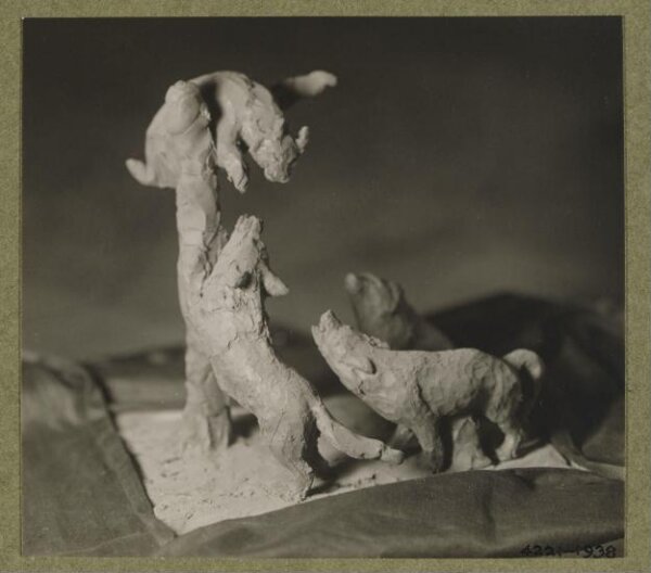 unknown, Photograph