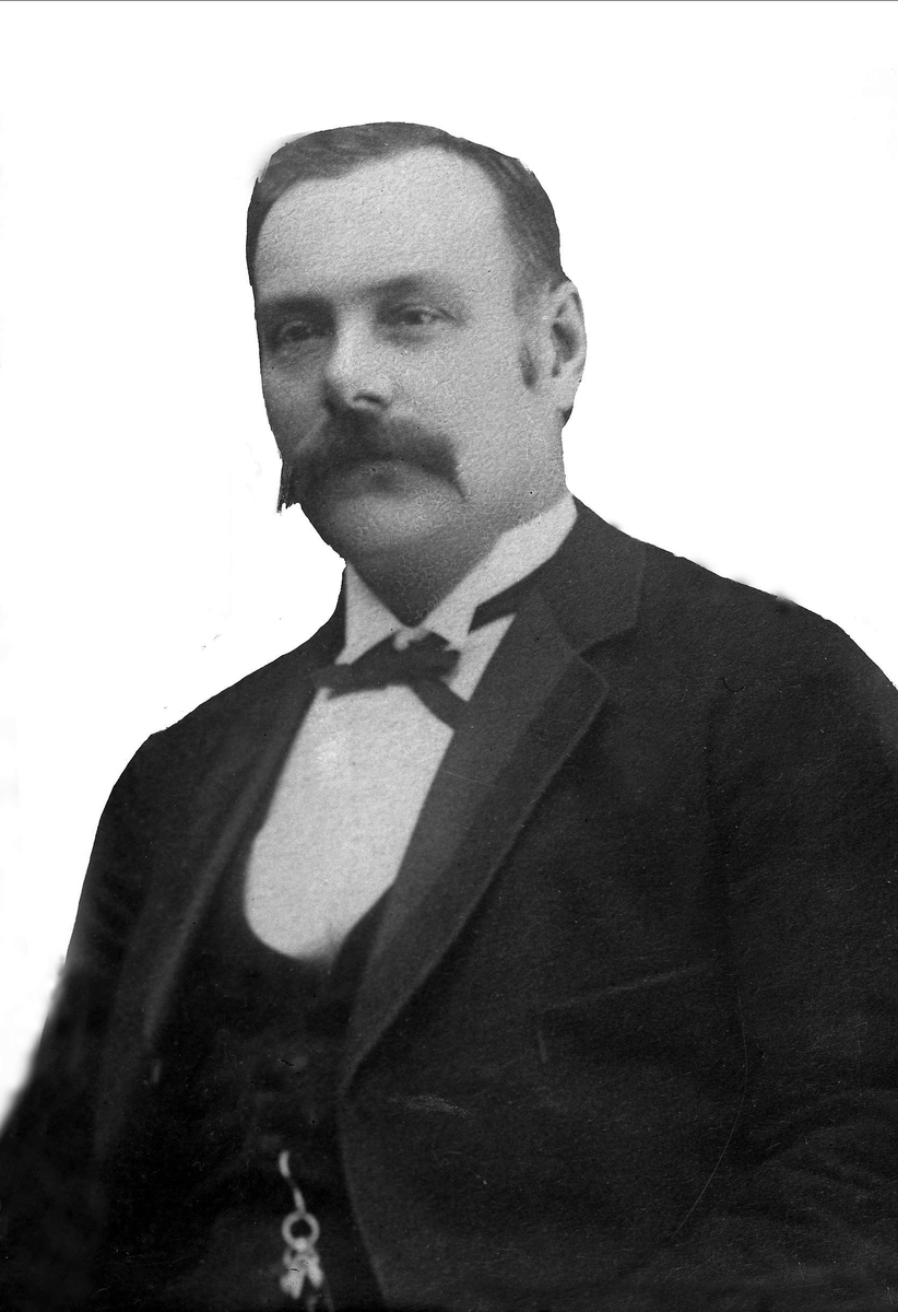 Gustav Borgen, Avfotografering.