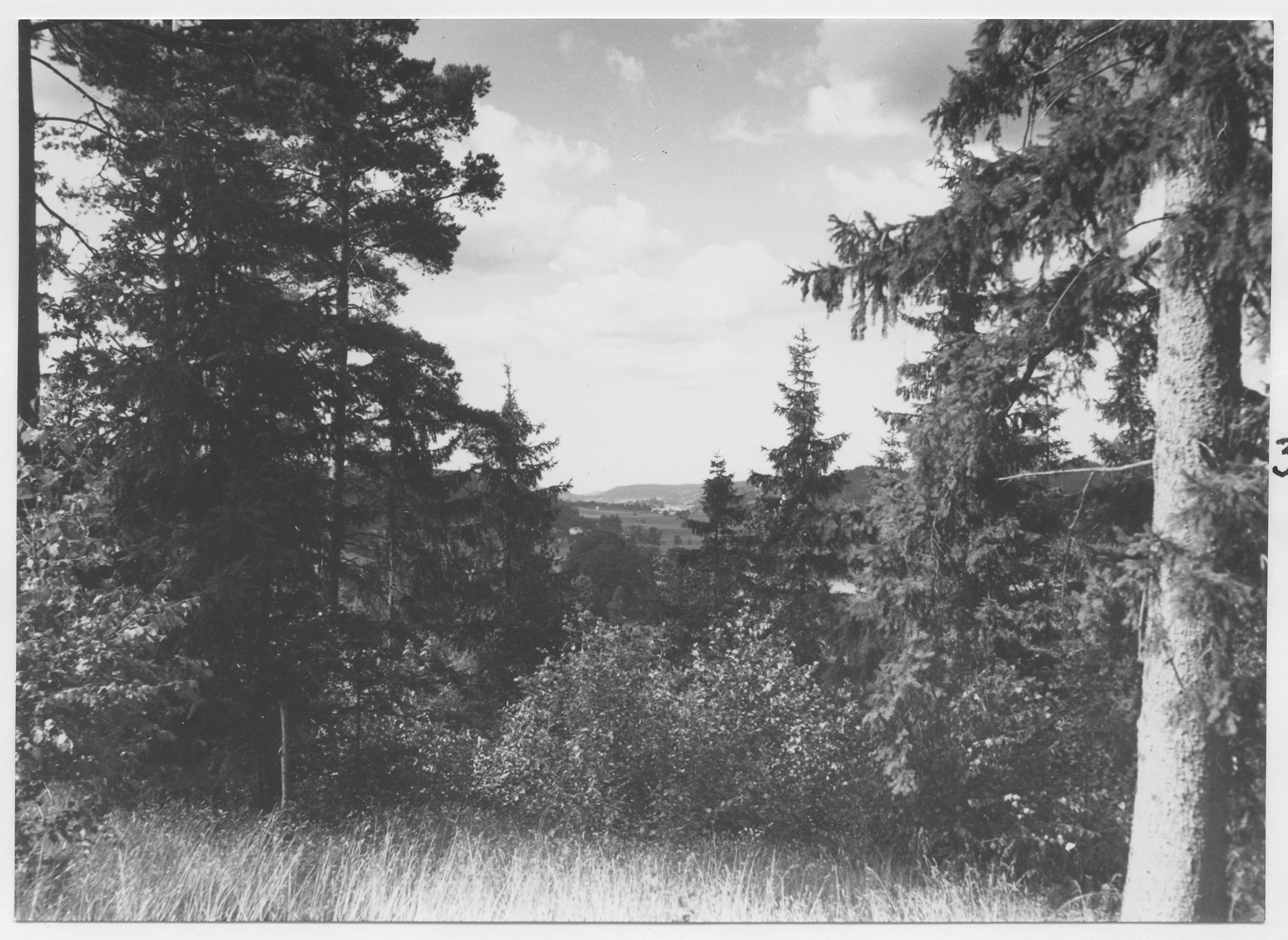 Mårten Sjöbeck, Stensnäs