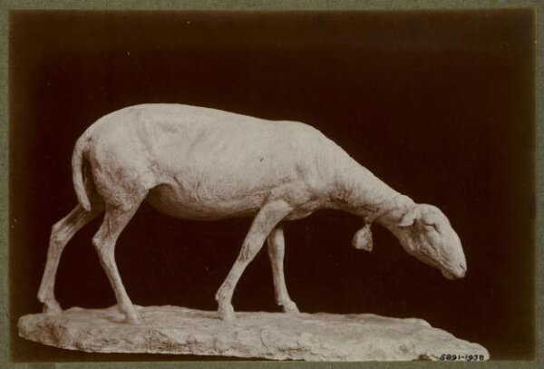unknown, Photograph